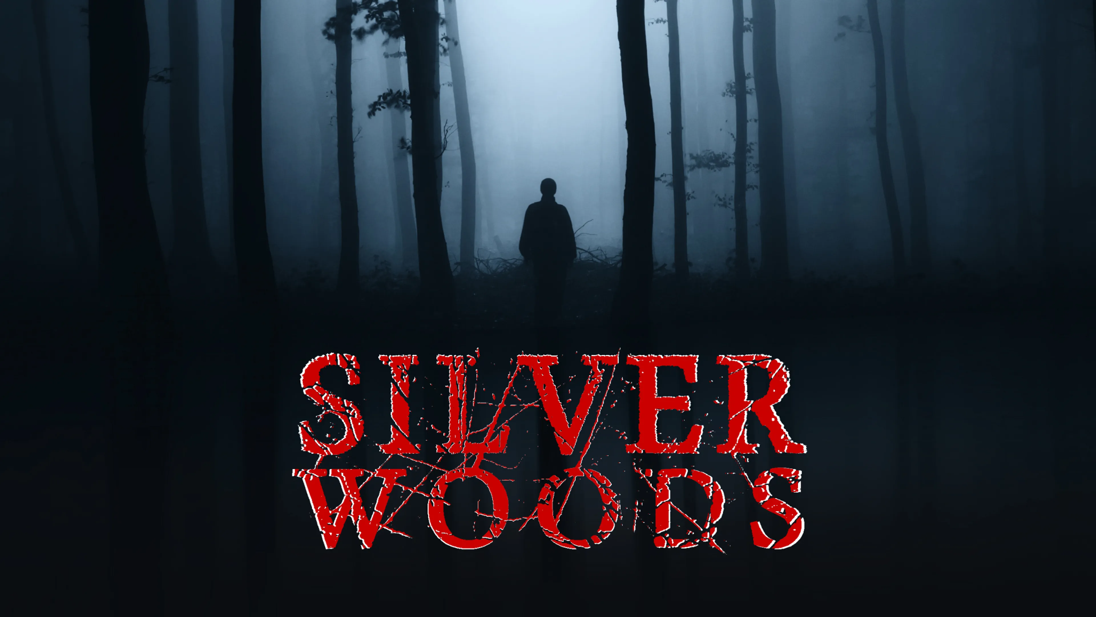 Silver Woods poster